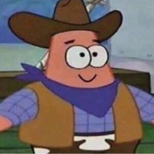 Meet your Posher, Alice